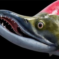 Photo of the nerve stake 3