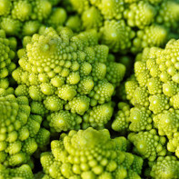 Photo of Romanesco cabbage