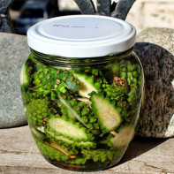 Photo of pine cones 4