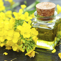 Rapeseed oil photo