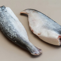Photo of Pangasius 4