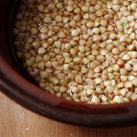 Photo of Green Buckwheat 2