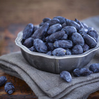 Photo of honeysuckle 4