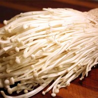 Enoki 5