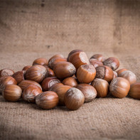 Photo of hazelnut 5