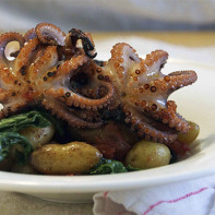 Photo of octopus