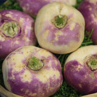 Photo of rutabaga 2