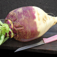 Photo of rutabaga