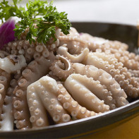 Photo of the octopus 3