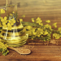 Rapeseed oil photo 3