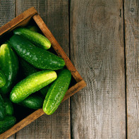 Cucumbers photo 2