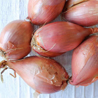 Photo of shallots