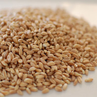 Photo of spelt