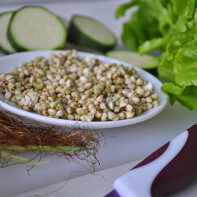 Photo of Green Buckwheat