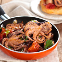 Photo of the octopus 4