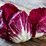 Photo of radicchio 3