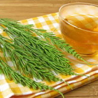 Foto kjerringrokkfelt 5