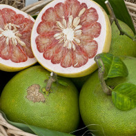 Bilde av pomelo frukt 2
