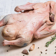 Bilde av gåsekjøtt 3