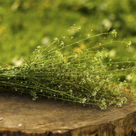 Bilde av en hyrdeveske 3