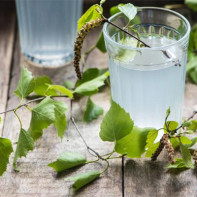 Bilde av bjørkesap 3