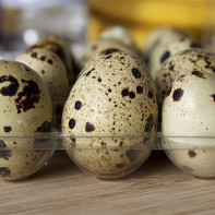 Foto dels ous de guatlla 4