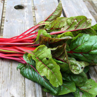 Foto de taps de remolatxa 3