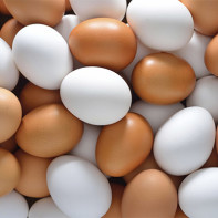Foto de Chicken Eggs