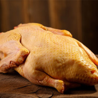 Foto av gåsekjøtt 2