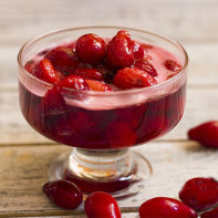 Bilde av dogwood jam 2