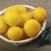 Bilde av kirsebærplomme 5