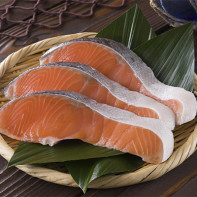 Foto de peix salmó coho 5