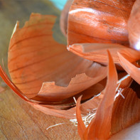 Foto de pela de ceba 4