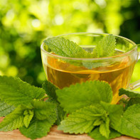 Foto av te med sitronmelisse