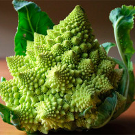 Fotografia col romanesco 4