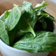 Bilde av Spinach 2