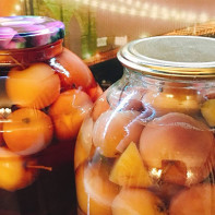 Stuede epler med foto 5