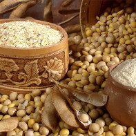 Foto farina de soja 2