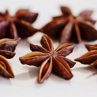 Foto stjerneanis