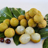 Bilde av Longan fruit 2