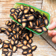 Foto av vannmelonfrø 4