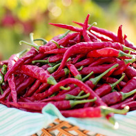 Bilde av cayennepepper 4