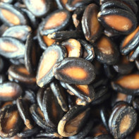 Bilde av vannmelonfrø 5