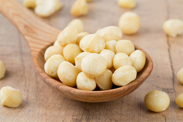 Interesting facts about macadamia nut