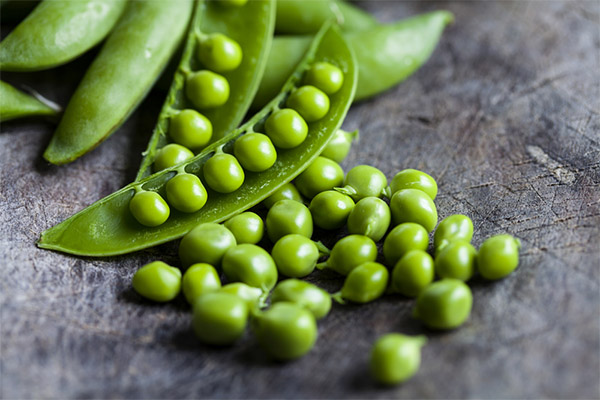 The useful properties of peas for weight loss