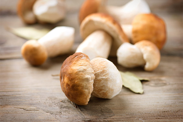 The benefits and harms of ceps