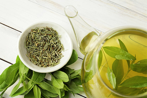 The benefits and harms of green tea