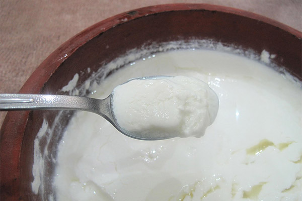 Yogurt in medicine