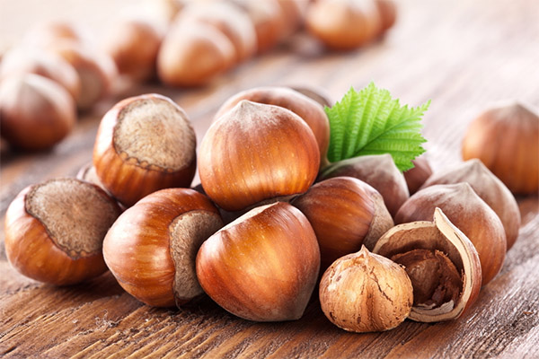 Hazelnut in medicine