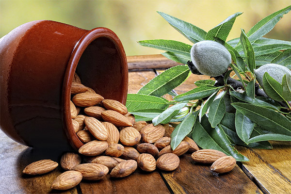 Almond in Medicine